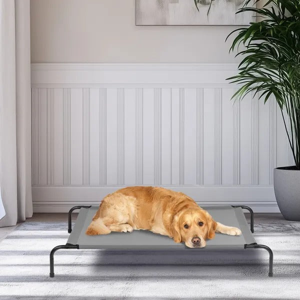 Large Summer Elevated Dog Bed 50"x31"x8" Cool Lofty Pet Bed