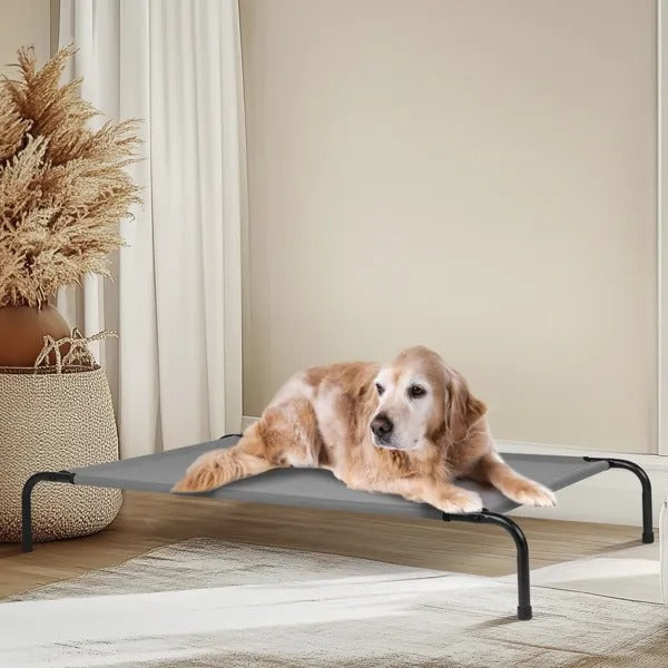 Large Summer Elevated Dog Bed 50"x31"x8" Cool Lofty Pet Bed