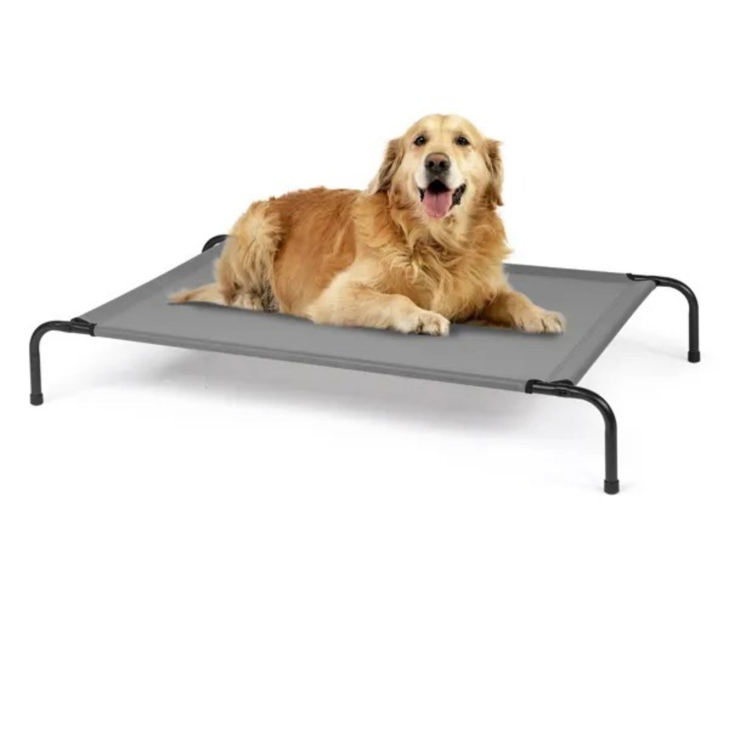 Large Summer Elevated Dog Bed 50"x31"x8" Cool Lofty Pet Bed