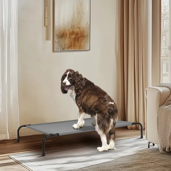 Large Summer Elevated Dog Bed 50"x31"x8" Cool Lofty Pet Bed